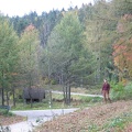 Germany 081