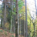 Germany 093