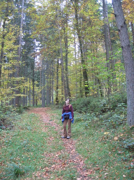 Germany 095