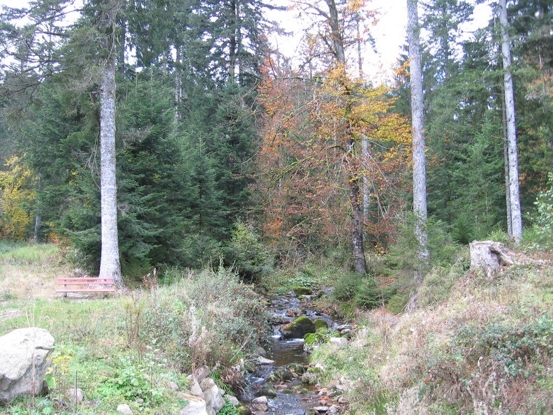 Germany 137