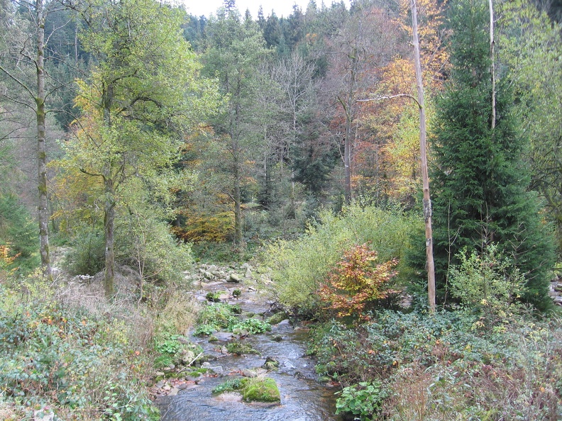 Germany 138