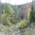 Germany 141