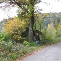 Germany 202