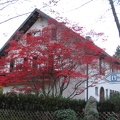 Germany 218