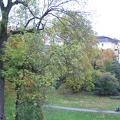 Germany 264