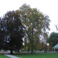 Germany 274
