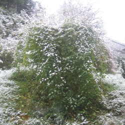Day 8 - Snow in Wiesensteig