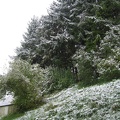 Germany 280