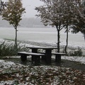 Germany 285