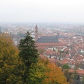 Germany 302