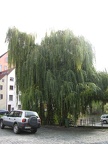 Germany 374