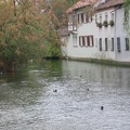 Germany 391