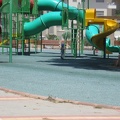 Meir 006