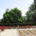 Ramat Ha-Nadiv 007