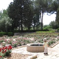 Ramat Ha-Nadiv 009