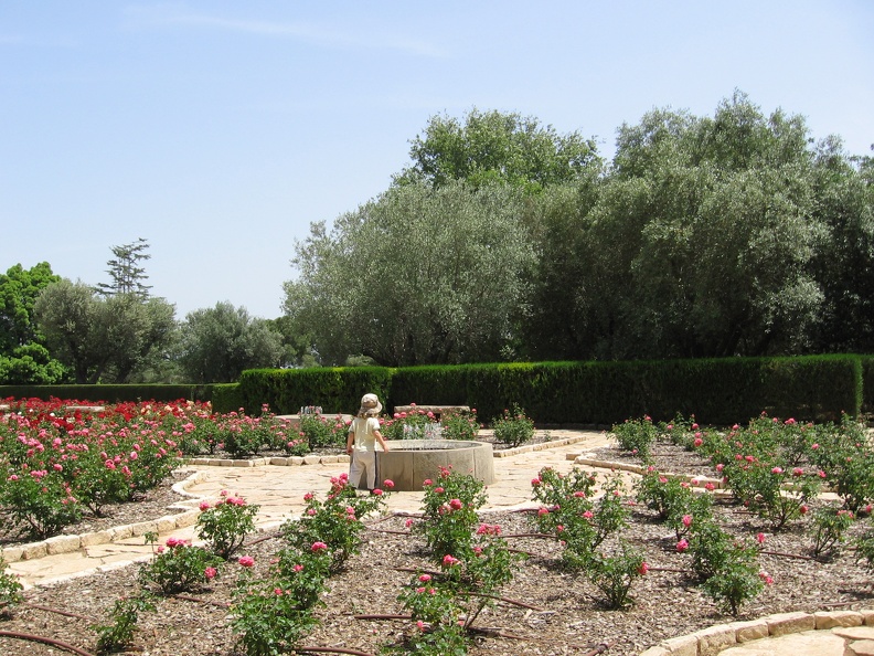 Ramat Ha-Nadiv 011