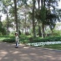 Ramat Ha-Nadiv 014