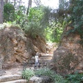 Ramat Ha-Nadiv 017