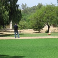 Ramat Ha-Nadiv 016