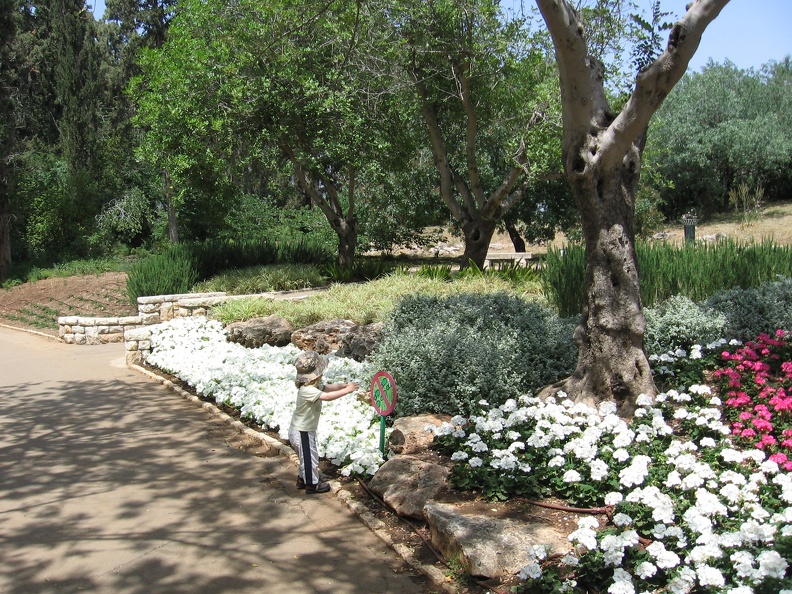 Ramat Ha-Nadiv 018
