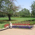 Ramat Ha-Nadiv 019