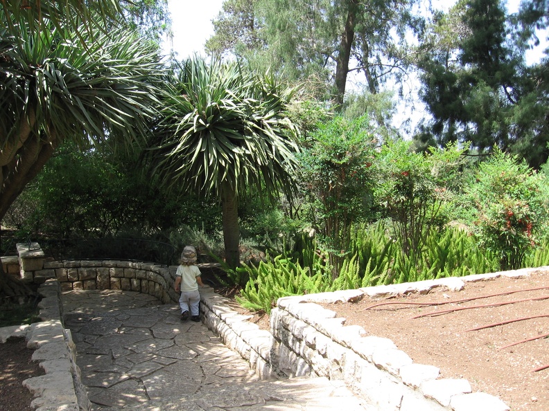 Ramat Ha-Nadiv 022