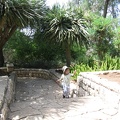 Ramat Ha-Nadiv 027