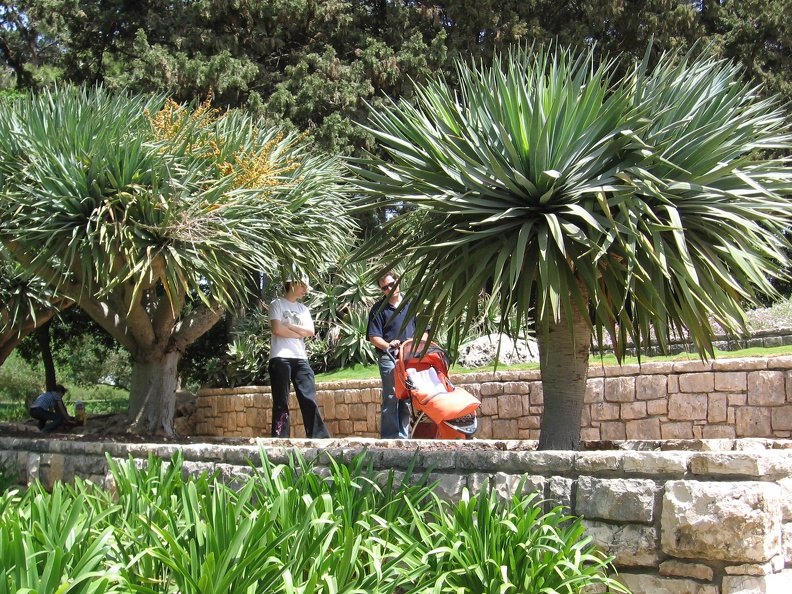 Ramat Ha-Nadiv 026