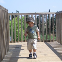Year 2008