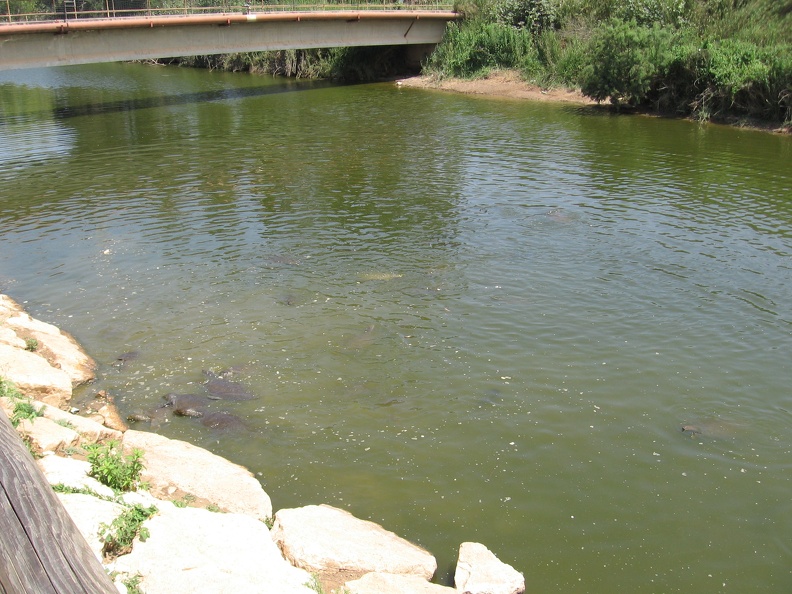 Alexander River 009