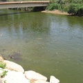 Alexander River 009