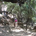 Golan 004