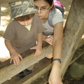 Golan 015