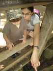 Golan 015