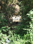 Golan 021