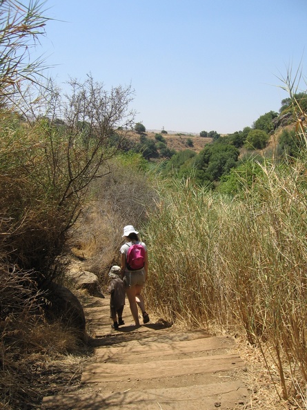 Golan 029