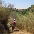 Golan 029