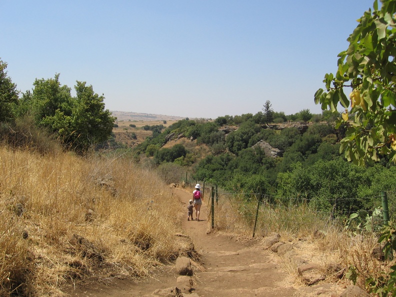 Golan 028