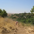 Golan 028