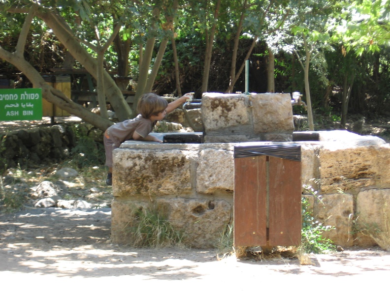 Golan 035