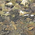 Golan 043.jpg