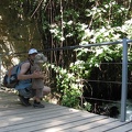 Golan 055