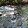 Golan 066