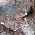 Golan 069