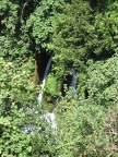 Golan 027