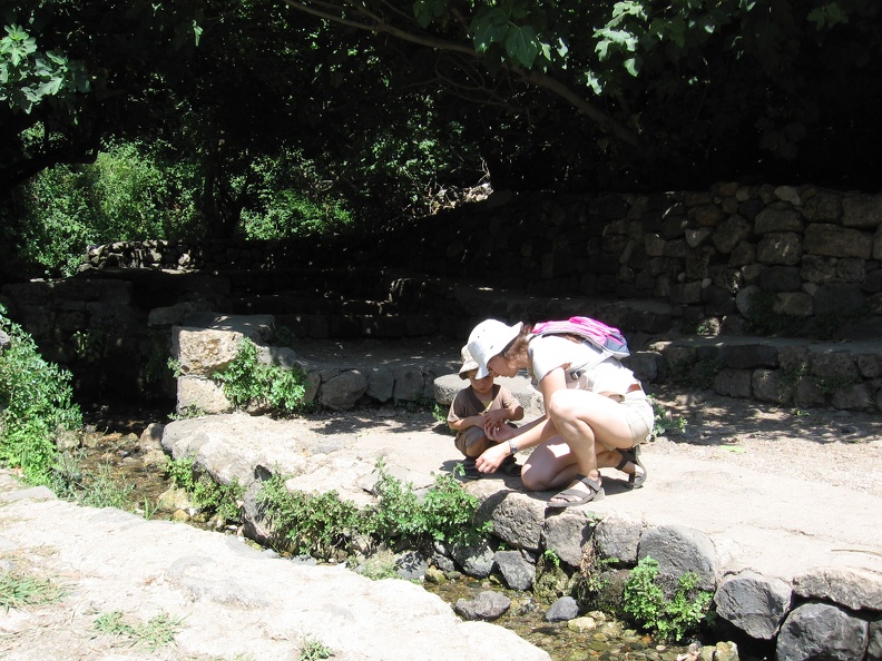 Golan 057