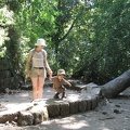 Golan 068