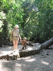 Golan 068