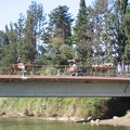 Alexander Stream 017