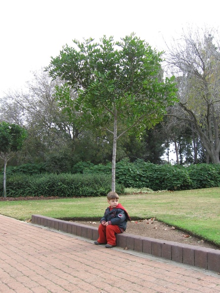 Rothschild Park 009